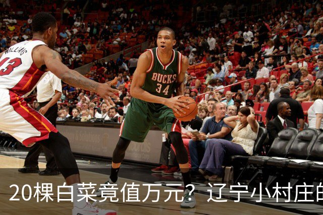 20棵白菜竟值万元？辽宁小村庄的滑稽索赔戏法